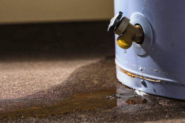 Best Local water damage restoration  in Haysville, KS