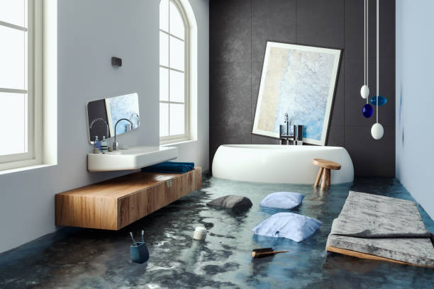 Best Carpet water damage restoration  in Haysville, KS