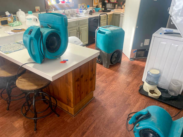 Best Flood damage cleanup  in Haysville, KS