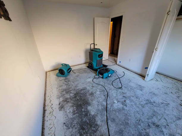 Best Flooded house restoration  in Haysville, KS