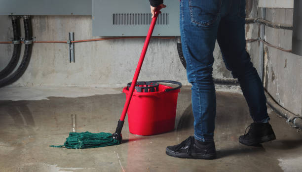 Best Water damage restoration services  in Haysville, KS