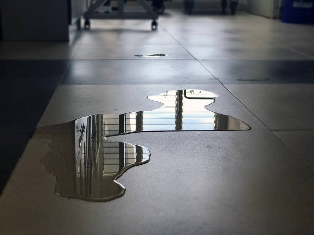 Best Water damage restoration near me  in Haysville, KS