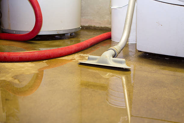 Best Sewage cleanup and water damage restoration  in Haysville, KS