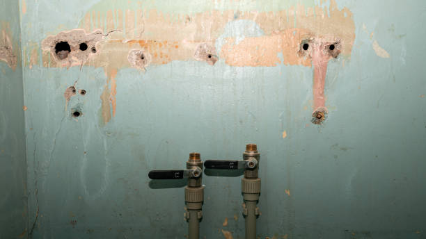Best Emergency water damage restoration  in Haysville, KS