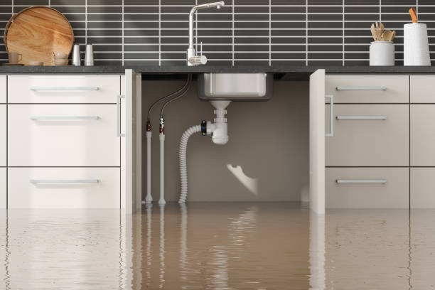 Best 24/7 water damage repair  in Haysville, KS